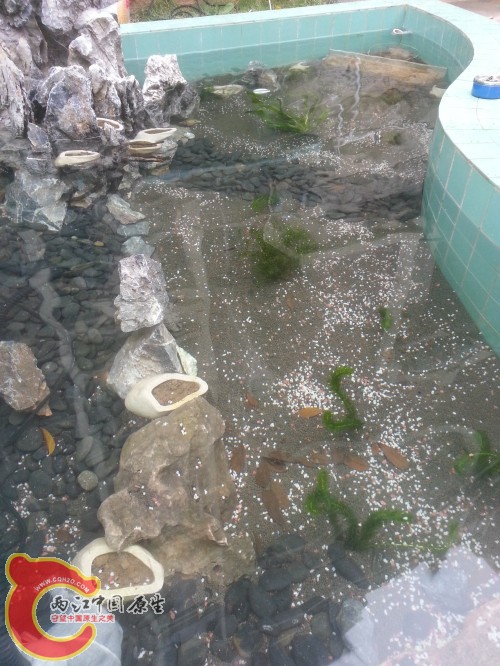 20141215_145301.jpg