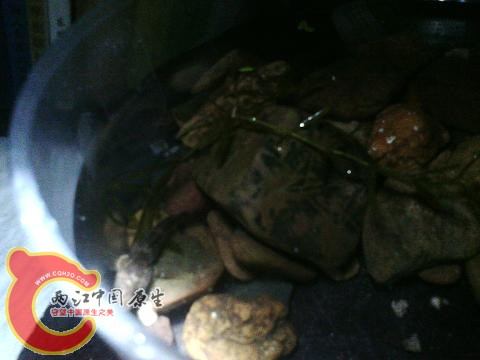 IMG_20141223_223414.jpg