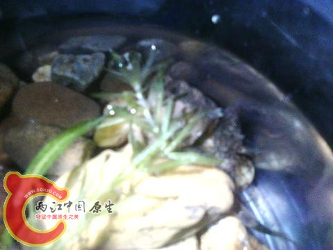 IMG_20141223_223317.jpg
