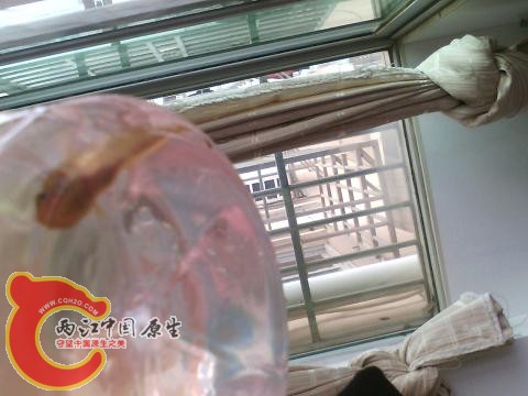 IMG_20141225_130651.jpg