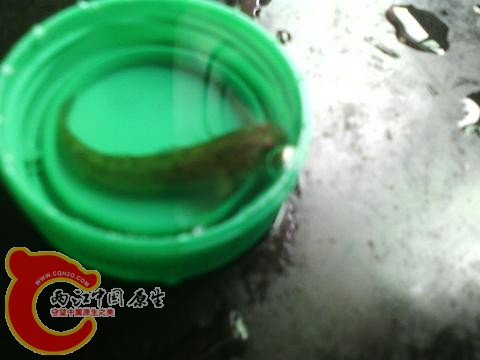 IMG_20141225_130924.jpg