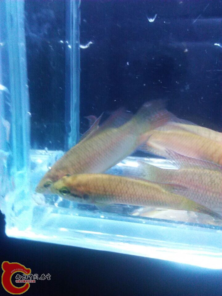 QQ图片20150104145835.jpg