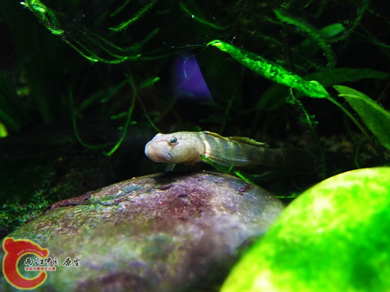 DSCF4644.JPG