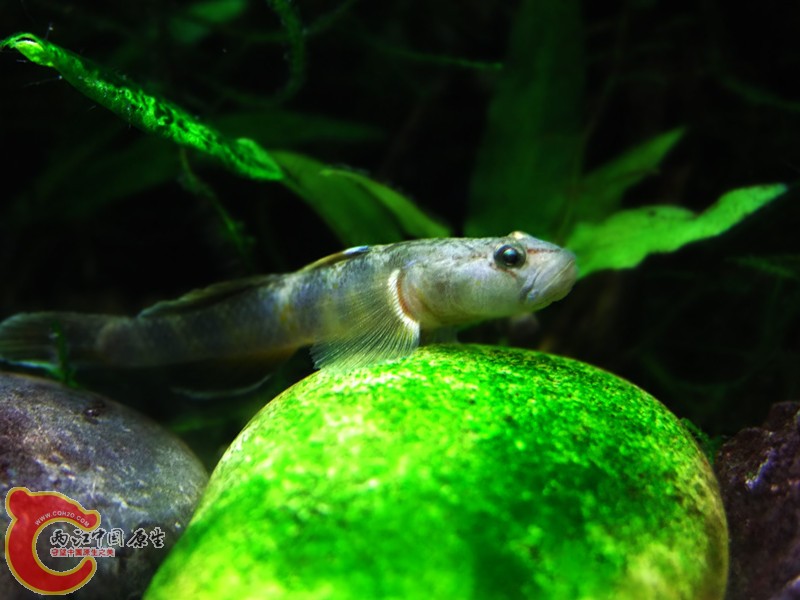 DSCF4645.JPG