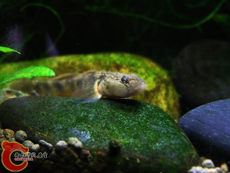 DSCF4648.JPG