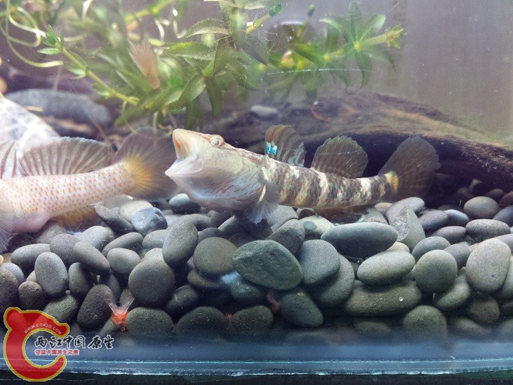 20150107_174019.jpg