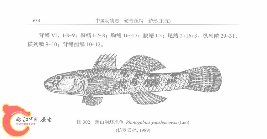 未命名1.jpg