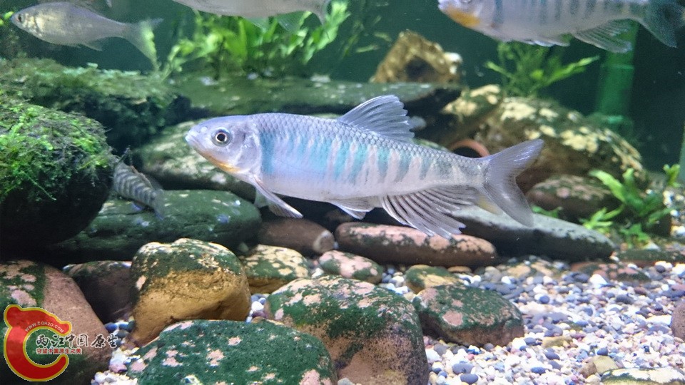 长3_调整大小.JPG