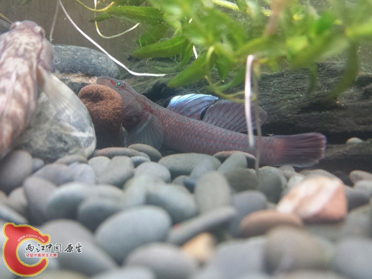 20150110_204743.jpg