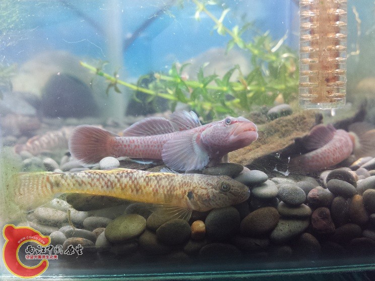 20150110_205351.jpg