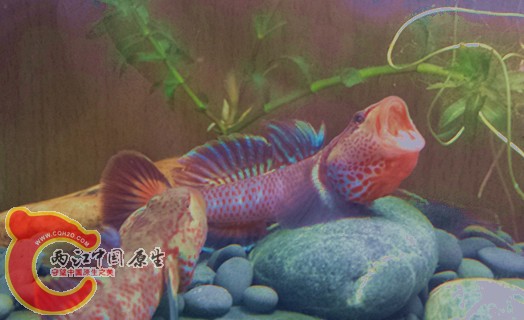 20150113_181919.jpg