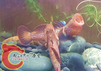 20150113_181926.jpg