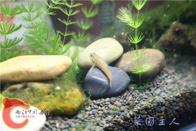 061_副本.jpg