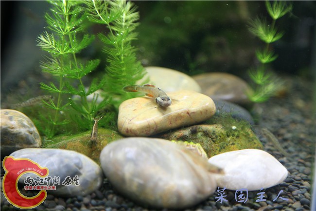 079_副本.jpg