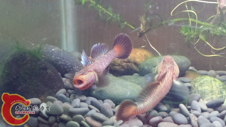 20150118_215547.jpg
