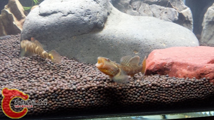 20150121_225750.jpg