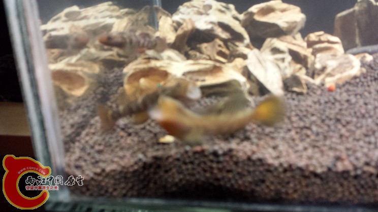 20150121_230438.jpg