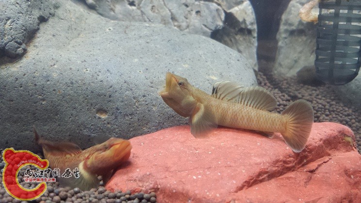 20150123_194641.jpg