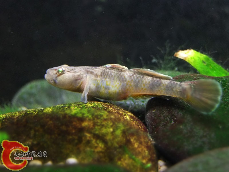 DSCF4673.JPG
