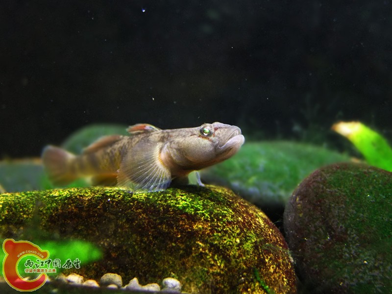 DSCF4686.JPG
