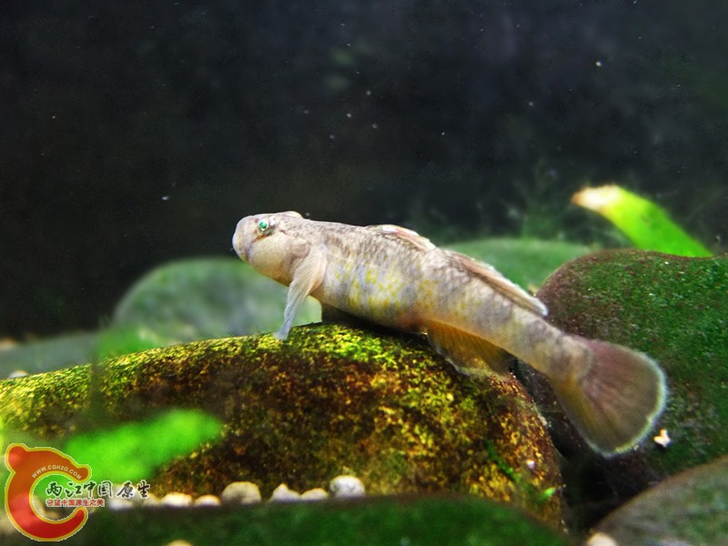 DSCF4691.JPG