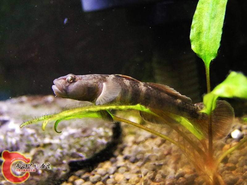 DSCF4718.JPG