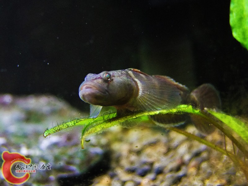 DSCF4720.JPG