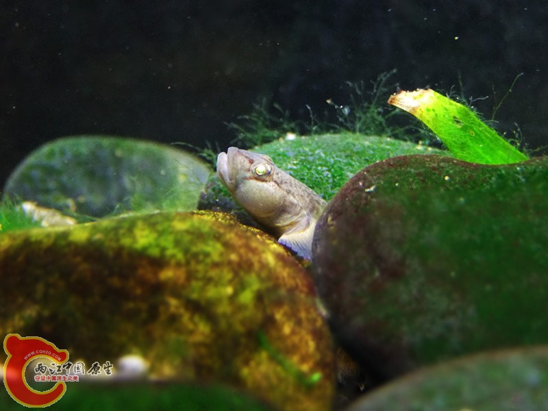 DSCF4708.JPG