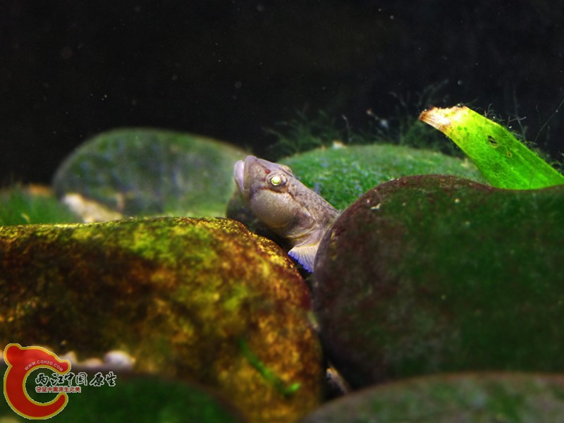 DSCF4709.JPG
