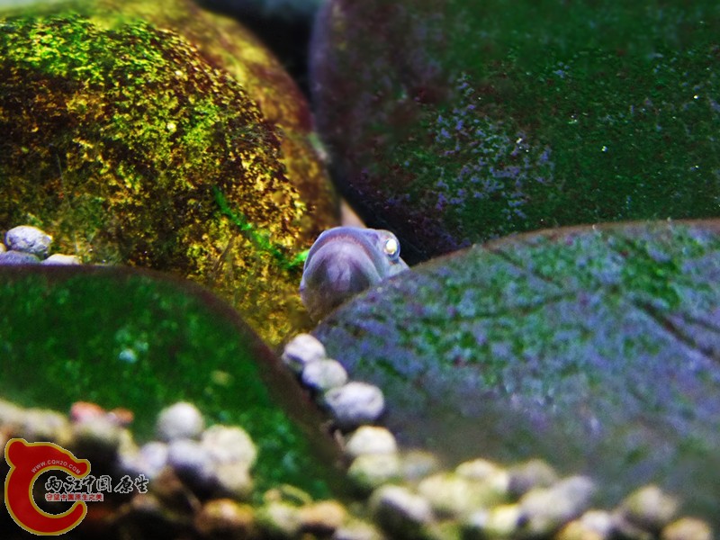 DSCF4717.JPG