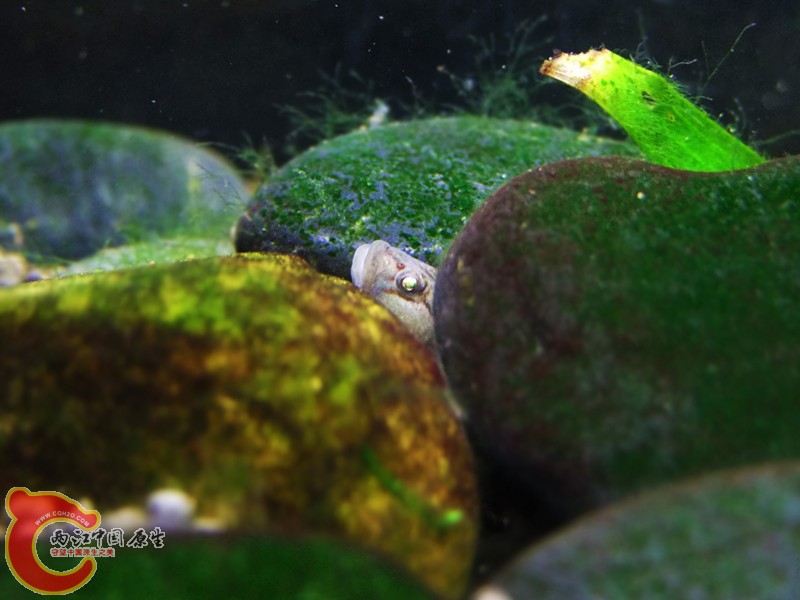 DSCF4722.JPG