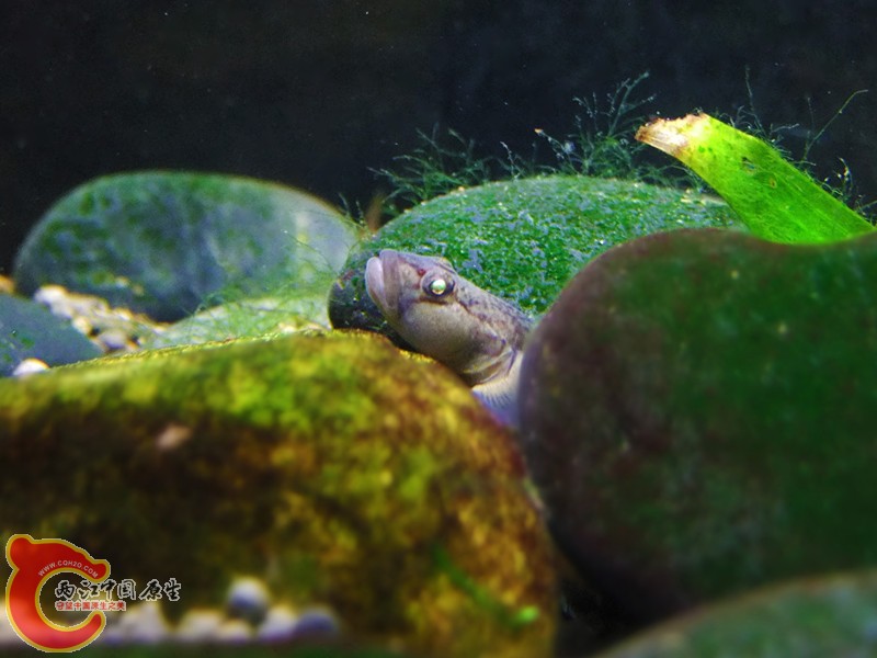 DSCF4731.JPG
