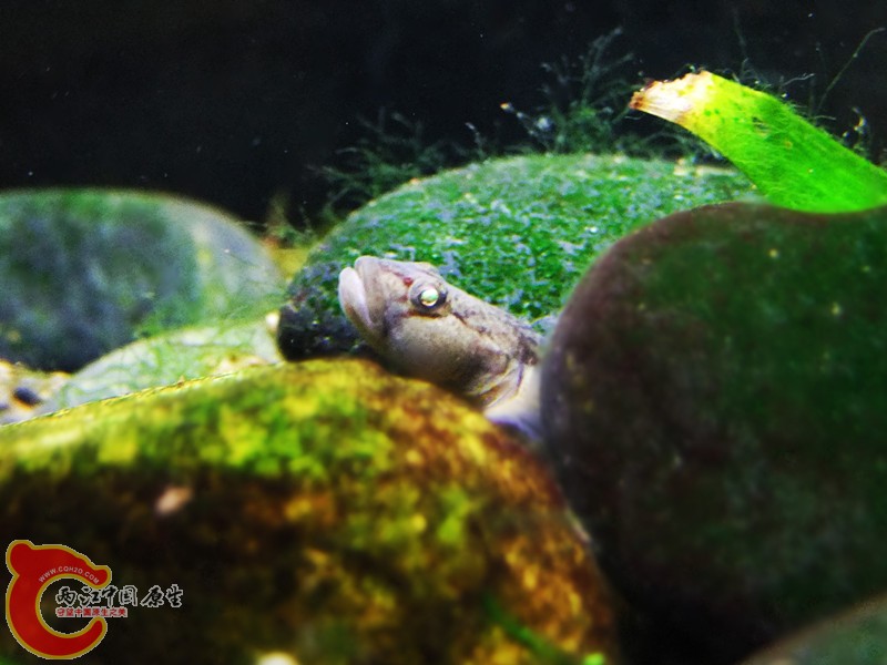 DSCF4734.JPG