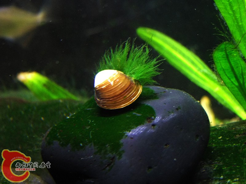 DSCF4727.JPG