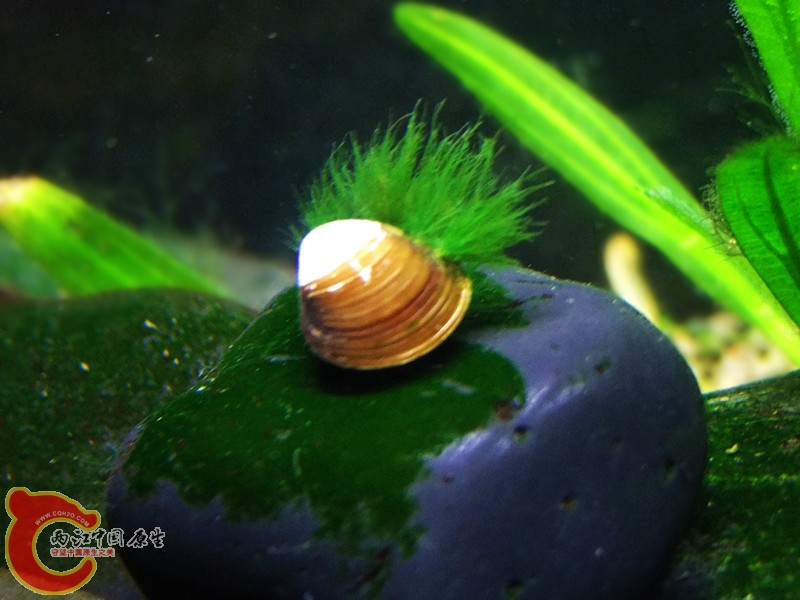 DSCF4728.JPG