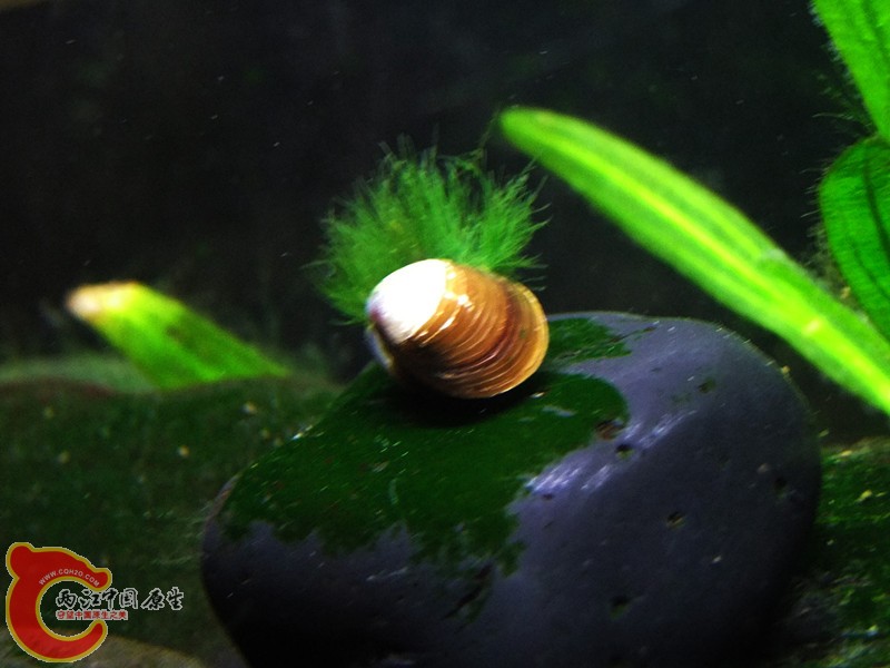 DSCF4729.JPG