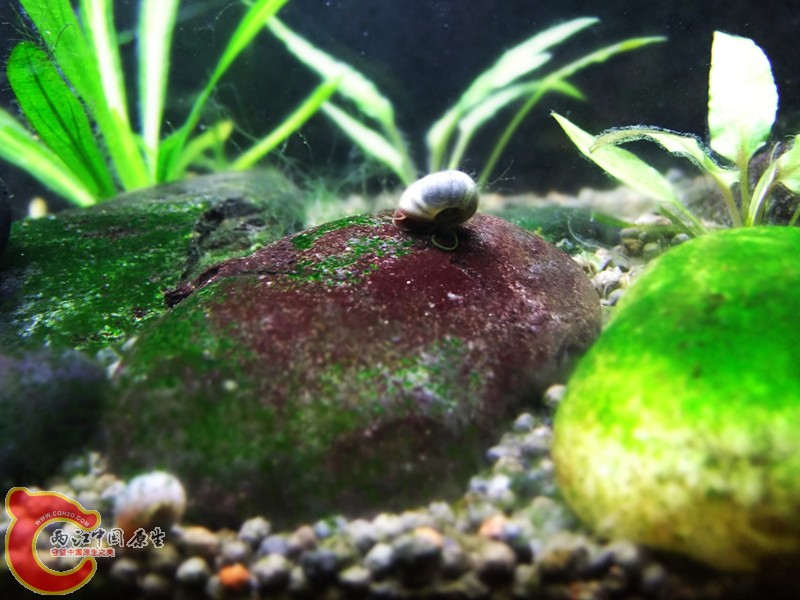 DSCF4676.JPG
