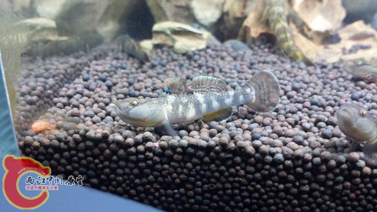 20150114_235020.jpg