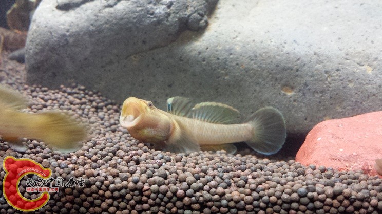 20150124_230245.jpg