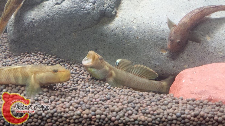 20150124_233136.jpg