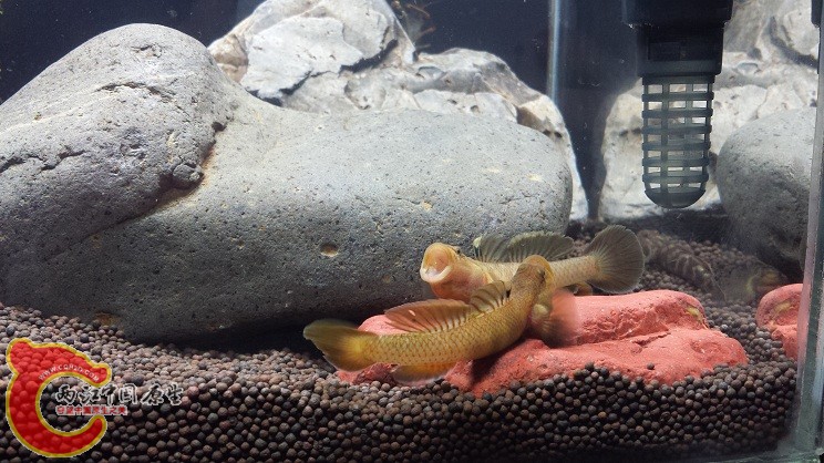 20150128_223935.jpg
