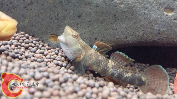 20150203_224740.jpg