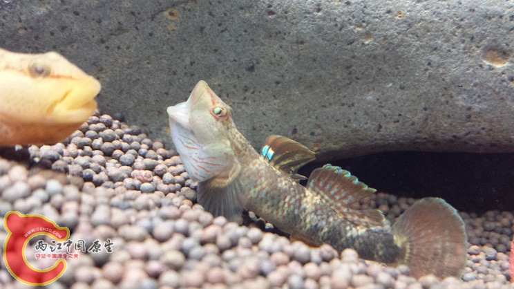 20150203_224745.jpg
