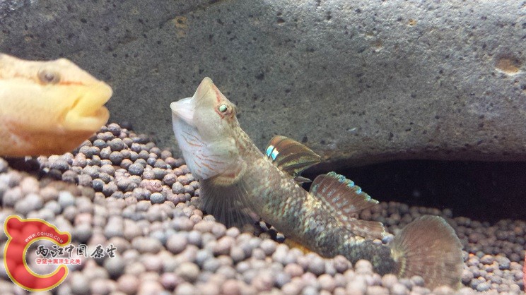 20150203_224747.jpg
