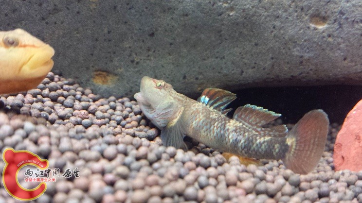 20150203_224750.jpg