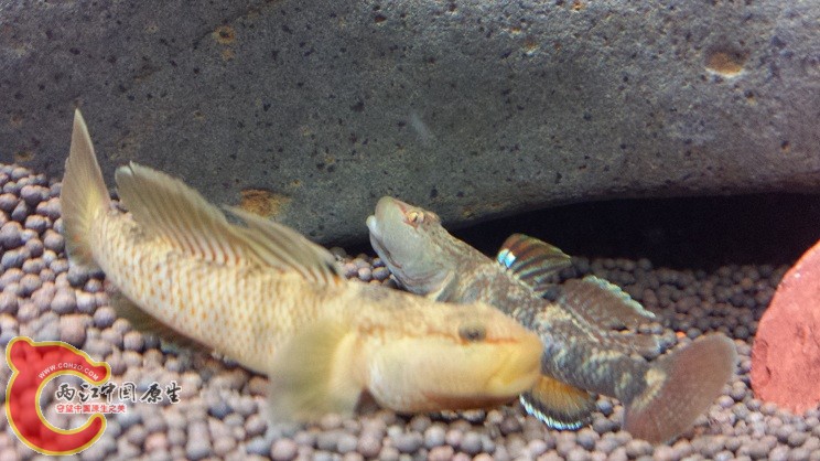 20150203_224807.jpg