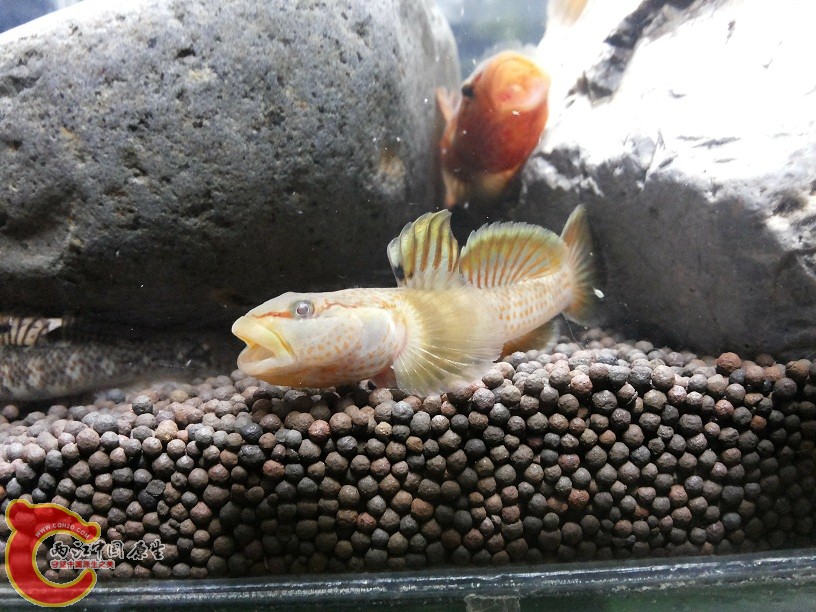 20150205_212718.jpg