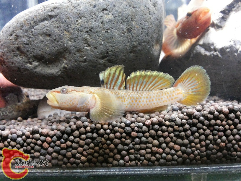 20150205_212722.jpg