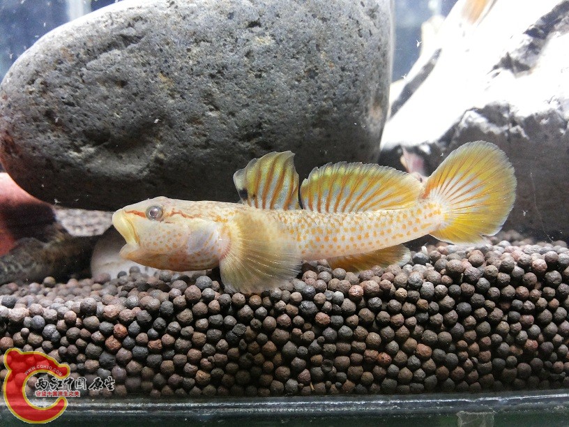 20150205_212725.jpg