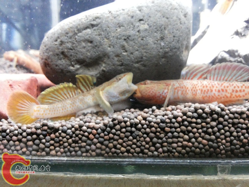 20150205_212731.jpg